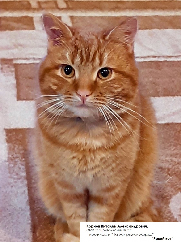 Корнев В.А..jpg